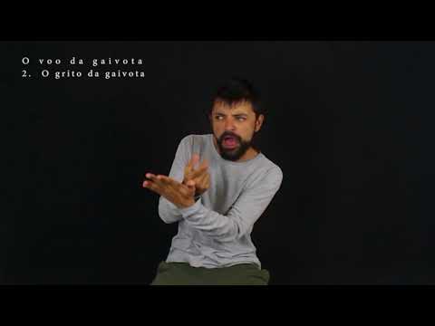 O Vôo da Gaivota "II O Grito da Gaivota" - Emmanuelle Laborit