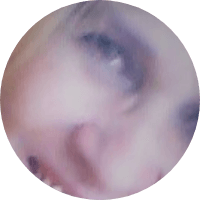 Foto de perfil de NEVESJUSTI