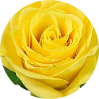 Foto de perfil de REGINEISE_MARINHO