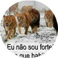 Foto de perfil de VMAUES34
