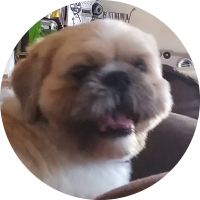 Foto de perfil de GABRIELLYSILVA03