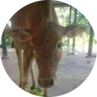 Foto de perfil de NANTYXZ