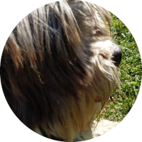 Foto de perfil de ANDREZ4