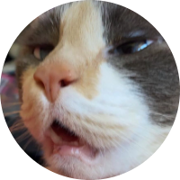 Foto de perfil de ANDRELITO