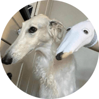 Foto de perfil de FLUTTFLUTT16