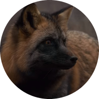 Foto de perfil de LEELETRICA