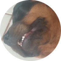 Foto de perfil de YOKAROLOLIVEIRA