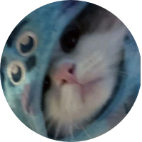 Foto de perfil de LULUTCD