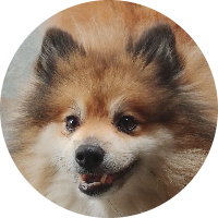Foto de perfil de JMPNREPRESENTACOES