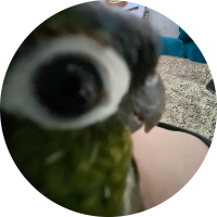 Foto de perfil de JUSTBLUENOWAND4EVER