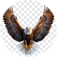 Foto de perfil de REGINALDOTORRES