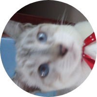 Foto de perfil de RICARDOMORAES521