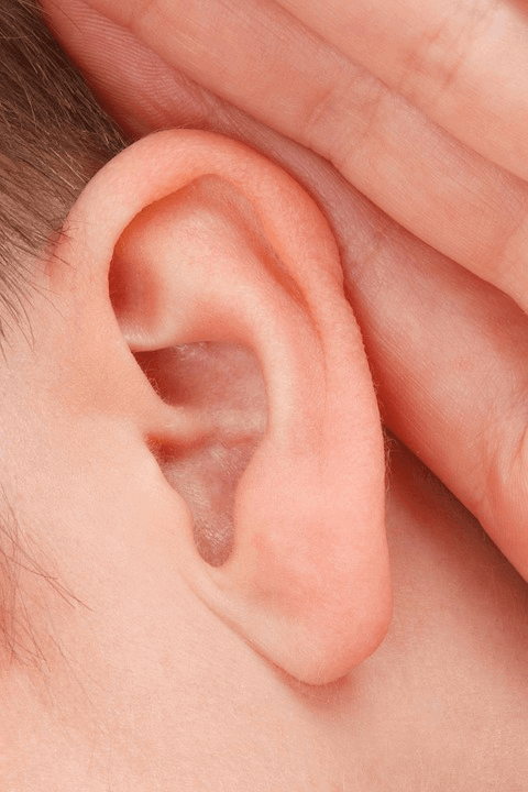 Perda auditiva infecções